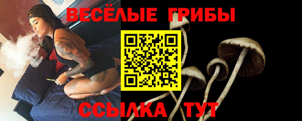 сколько стоит  Галлюциногенные грибы прущие грибы  Вход с VPN  Дмитров 