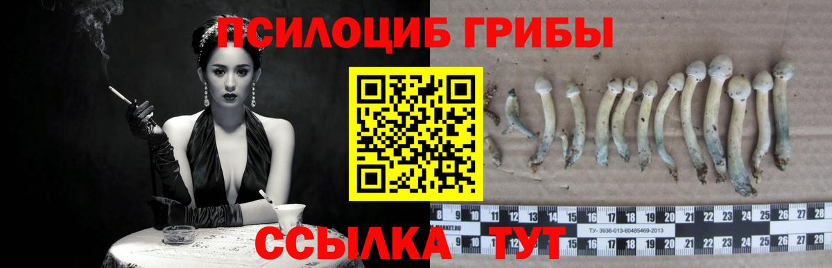Галлюциногенные грибы MAGIC MUSHROOMS Дмитров